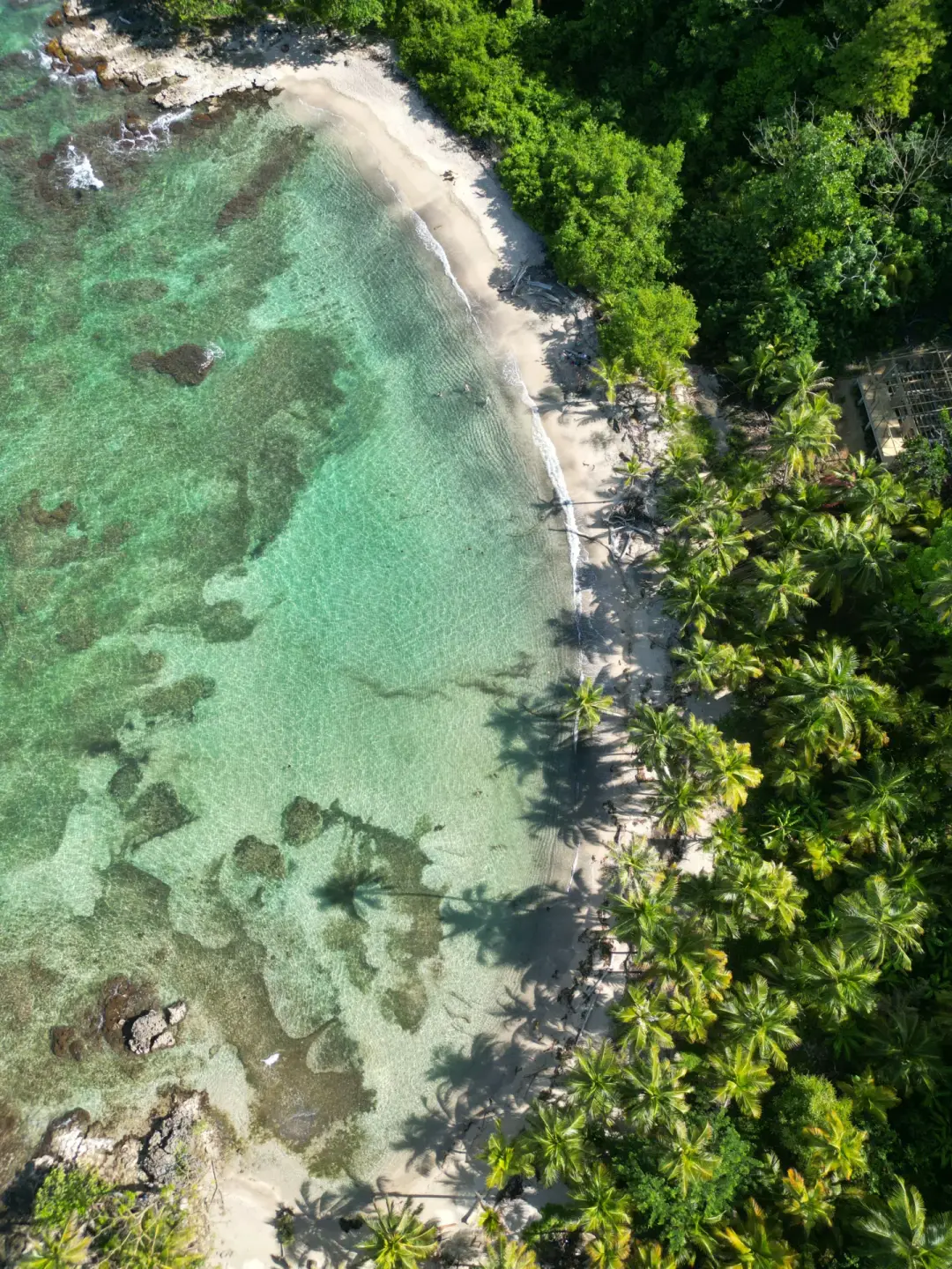 Naturaleza del Caribe escondido