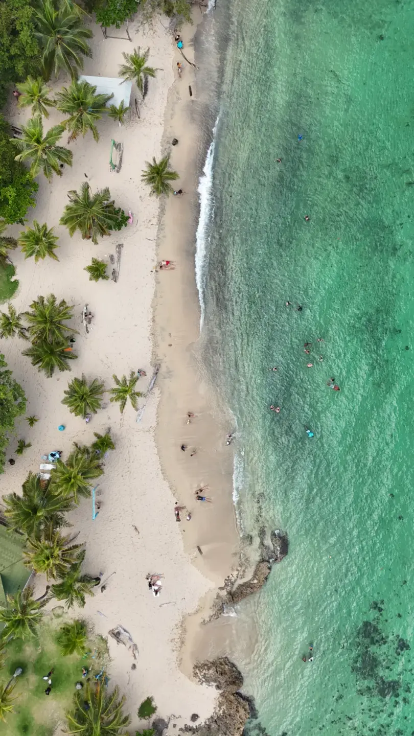 Naturaleza del Caribe escondido