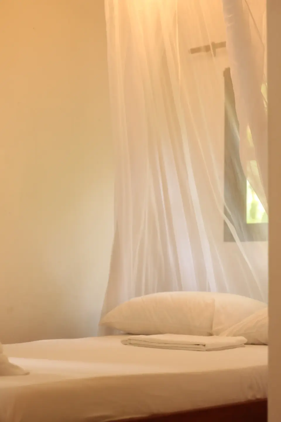 Triple — foto 26